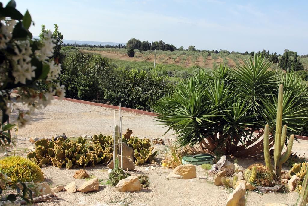 أولميدو Palmas Dorada Home المظهر الخارجي الصورة